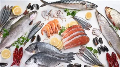 أسعار السمك اليوم في سوق العبور، البوري يسجل 180 والبلطي يبدأ من 30 جنيها 