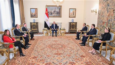 السيسي يؤكد أهمية التحرك العاجل لإنفاذ المساعدات الإنسانية إلى غزة وحل الدولتين