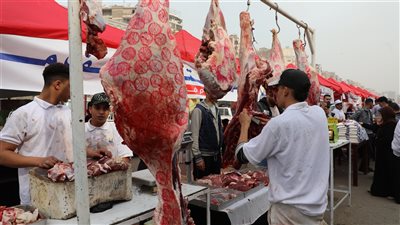 محافظ القاهرة: فكرة سوق اليوم الواحد تعتمد على زيادة المعروض