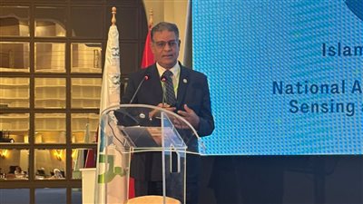 هيئة الاستشعار تؤكد أهمية صناعة الفضاء في نهضة المنطقة العربية