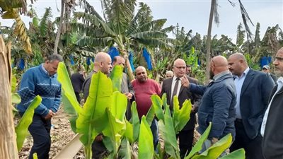 توزيع 9 آلاف طن أسمدة وترخيص 831 مشروعا زراعيا بالمنوفية