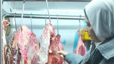 محافظ الدقهلية يحيل 73 عاملا بمستشفى المنزلة ومراكز الشباب للتحقيق