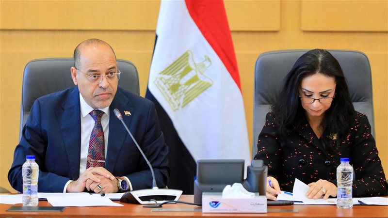 وزيرا التضامن والعمل،