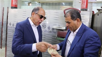 محافظ المنيا: ضبط 206 مخالفات خلال حملات تموينية مكبرة