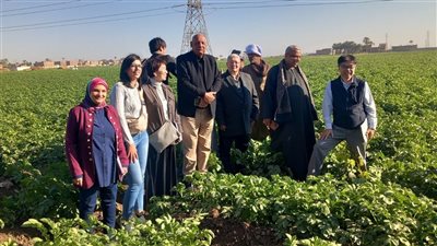 وفد الجايكا يزور أسيوط لمتابعة مشروع تحسين الزراعة