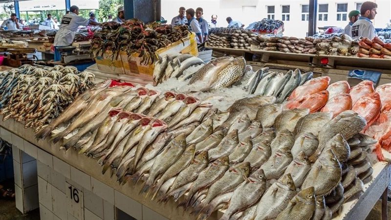 الاسماك بالمجمعات