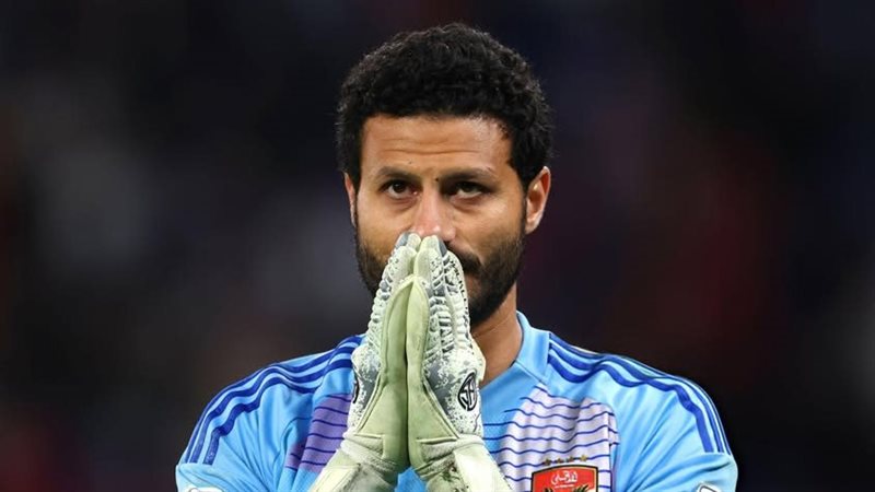 محمد الشناوي، فيتو