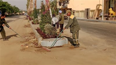 بدء تطوير وتشجير الجزيرة الوسطى بمدينة الأقصر (صور) 
