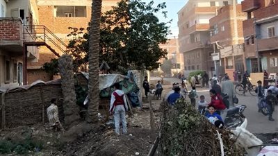 رئيس منيا القمح شرقية يوجه بإزالة نخلة مائلة وقص الأشجار المتشابكة مع أسلاك الكهرباء 