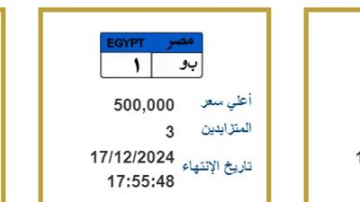 لوحات معدنية مميزة جديدة تدخل المنافسة، والأسعار تصل لنصف مليون جنيه 