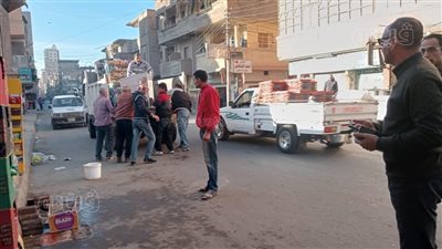 حملة لإزالة إشغالات الطرق بالمحلة الكبرى (صور)