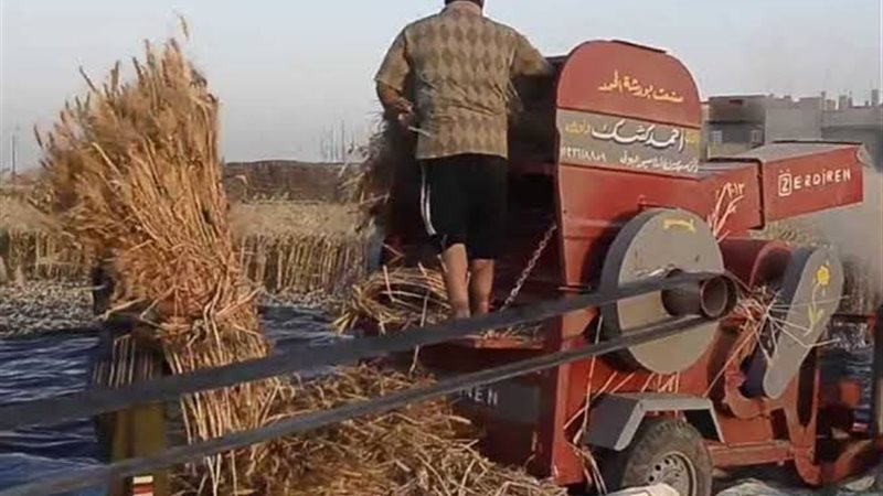 أرشيفية، ڤيتو