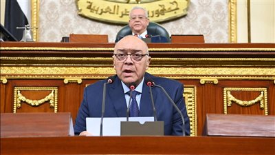 مجلس النواب يبدأ فى مناقشة مشروع قانون التجارة البحرية 