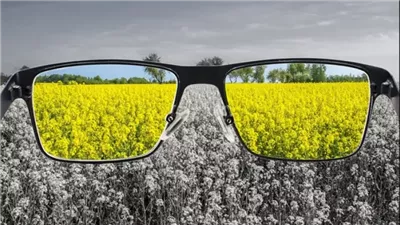 أبرزها تلف العصب البصري، أسباب الإصابة بعمى الألوان