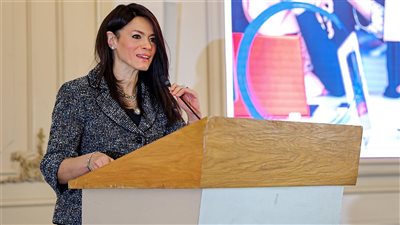 المشاط: تعدد الأدوات التمويلية يحفز تدفقات رأس المال الخاص في قطاعات التنمية 