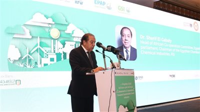 شريف الجبلي: التحول للصناعة الخضراء ضرورة لتحقيق التنمية المستدامة 