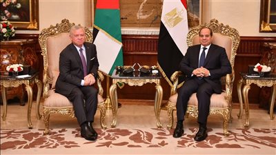 مصر والأردن تؤكدان ضرورة تكثيف الجهود الدولية لوقف حرب غزة وحماية المدنيين