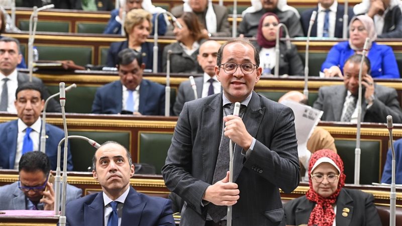 وزير المالية أمام
