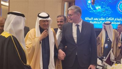 بدوي يبحث مع وزير الطاقة السعودي تعزيز التعاون في مجال البترول والغاز والبتروكيماويات