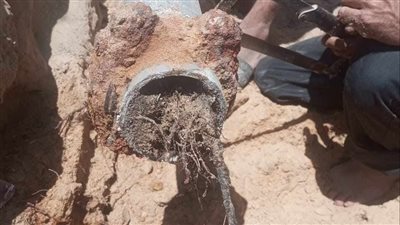 مياه القناة: استخراج جذور الأشجار من شبكات قرية جلبانة بالقنطرة شرق (صور)