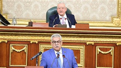 النواب يوافق على تعديل قانون تسجيل السفن التجارية