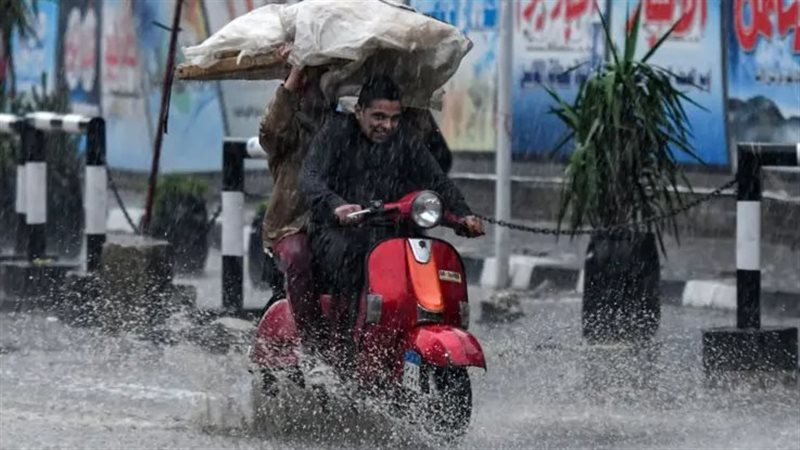 حالة الطقس غدا، فيتو