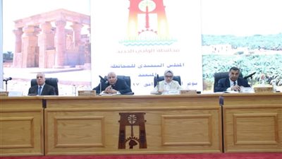 9 قرارات خلال اجتماع المجلس التنفيذي للوادي الجديد