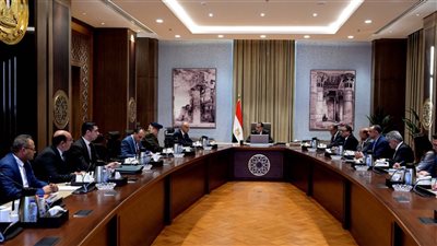  مدبولي: نحرص على دعم الجهود التنموية بدول حوض النيل في مختلف المجالات