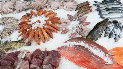 أسعار السمك اليوم في سوق العبور، تراجع الجمبري 20 جنيها وارتفاع البلطي