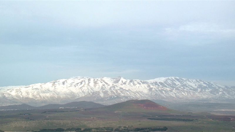 جبل الشيخ، فيتو