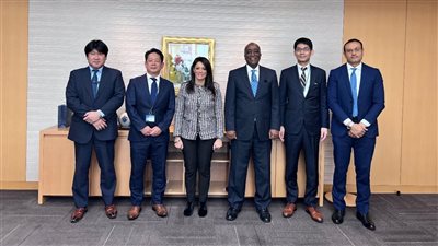 المشاط: الطاقة المتجددة والهيدروجين الأخضر مجالات واعدة لاستثمارات الشركات اليابانية في مصر