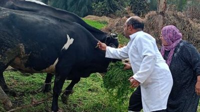 تحصين 652 ألف ماشية ضد مرض حمى الوادى والقلاعية بالشرقية