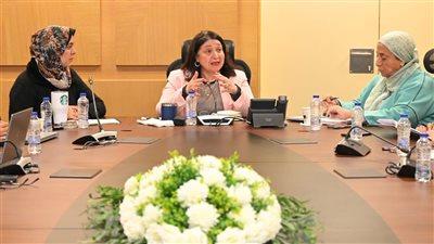 نائبة وزيرة التضامن تلتقي مدير مشروع مشروع تكافؤ الفرص ودمج ذوي الهمم 