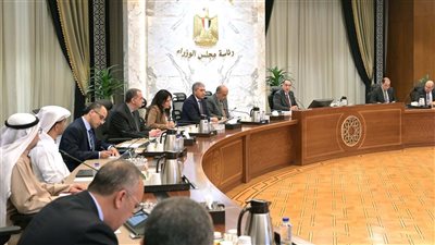 الحكومة: شراكات مصرية إماراتية لدعم مكافحة تهريب الأجهزة الإلكترونية ورقمنة الجمارك 