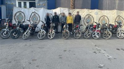 حبس 13 لصا لارتكاب جرائم سرقات متنوعة فى 4 محافظات