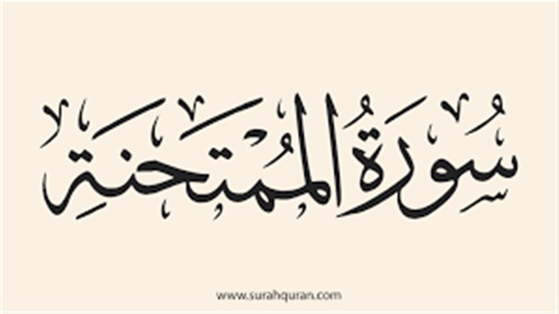 فيتو