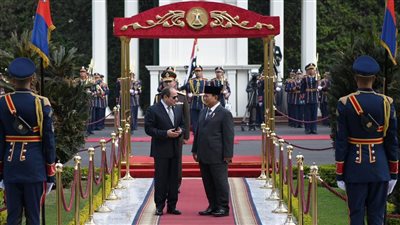 قائمة المشاركين في قمة منظمة الدول الثماني بالعاصمة الجديدة