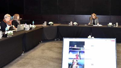 تعاون بين هيئة الاستثمار ومنظمة التعاون الاقتصادي لتحسين إحصاءات الاستثمار الأجنبي المباشر