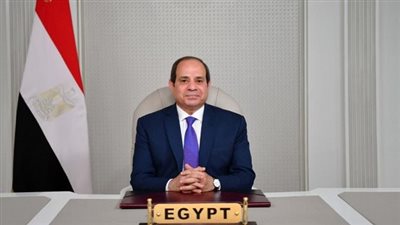 نص كلمة السيسي خلال افتتاح قمة الدول الثماني النامية للتعاون الاقتصادي