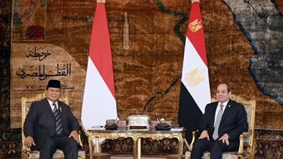 5 سلع تصدرها مصر إلى إندونيسيا خلال الـ10 أشهر الأولى من 2024 