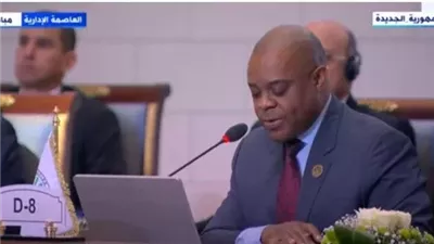 سكرتير منظمة الدول النامية للتعاون الاقتصادي يطالب بإنشاء صندوق لدعم المشاريع في الدول الأعضاء