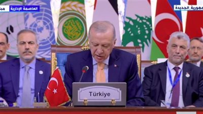 الرئيس التركي لـ السيسي: شكرا على حفاوة الاستقبال ونسعى لتمكين شعب سوريا (فيديو) 