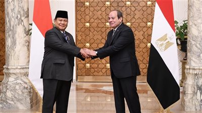 تعرف على حجم الاستثمارات الأندونيسية في مصر