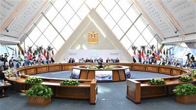 50 بندا، تفاصيل إعلان القاهرة خلال قمة الدول الثماني النامية للتعاون الاقتصادي