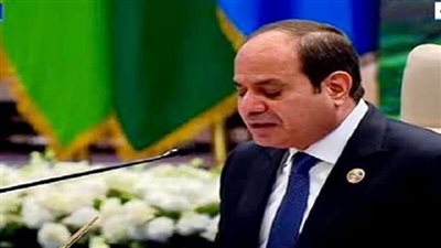 السيسي: مصر لن تألو جهدا فى دعم شعوب أمتها العربية والإسلامية 
