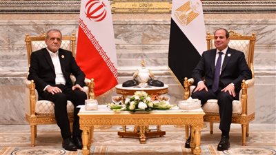  أزمات غزة وسوريا ولبنان تتصدر القمة المصرية الإيرانية بالقاهرة