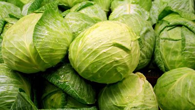 فوائد الكرنب، يقلل الكوليسترول ويحافظ على صحة القلب