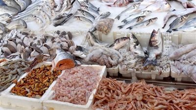 أسعار السمك اليوم بسوق العبور، ارتفاع البلطي والمكرونة وانخفاض كبير في الجمبري