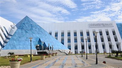 مصر تحافظ على الصدارة الإفريقية فى سرعة الإنترنت الأرضى