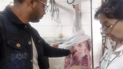 ضبط 70 كيلو لحوم وكبدة مجهولة المصدر بأسواق أسوان (صور)